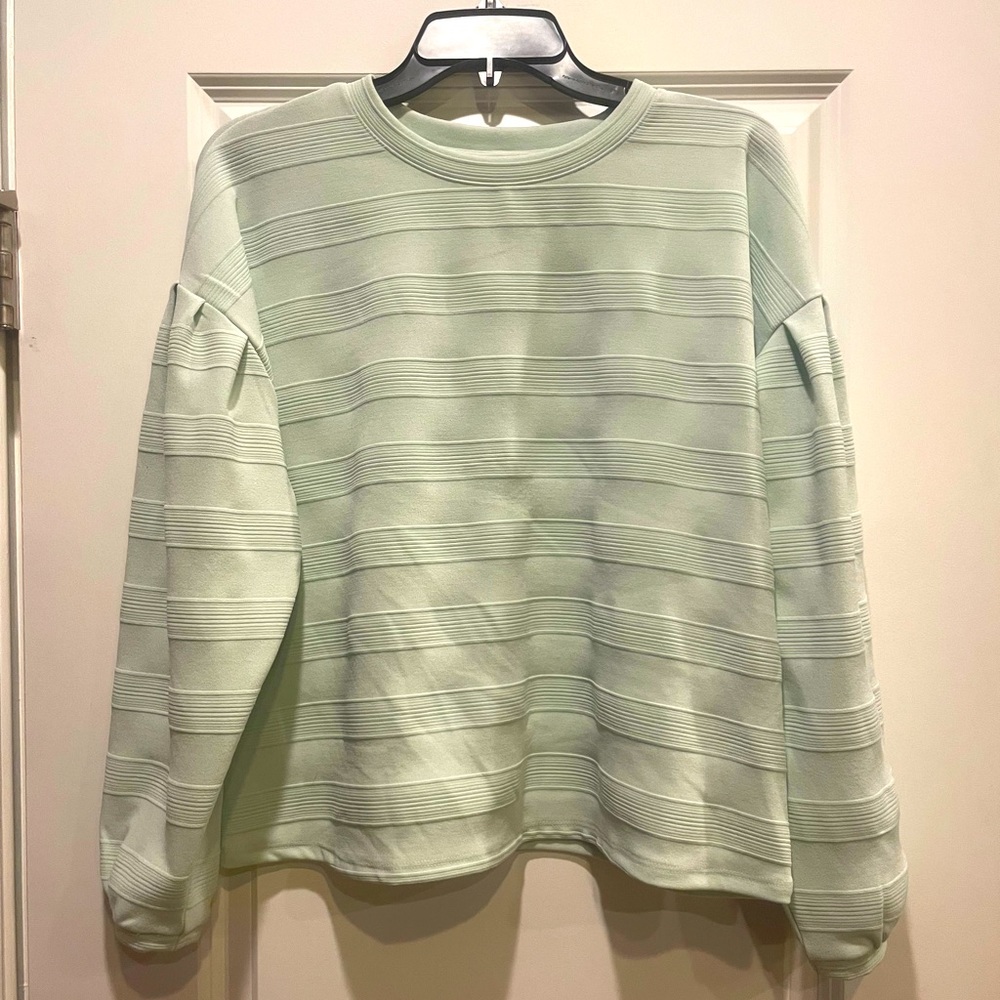 Mint colored blouse from Apt9. Beautiful striped detail size large petit…